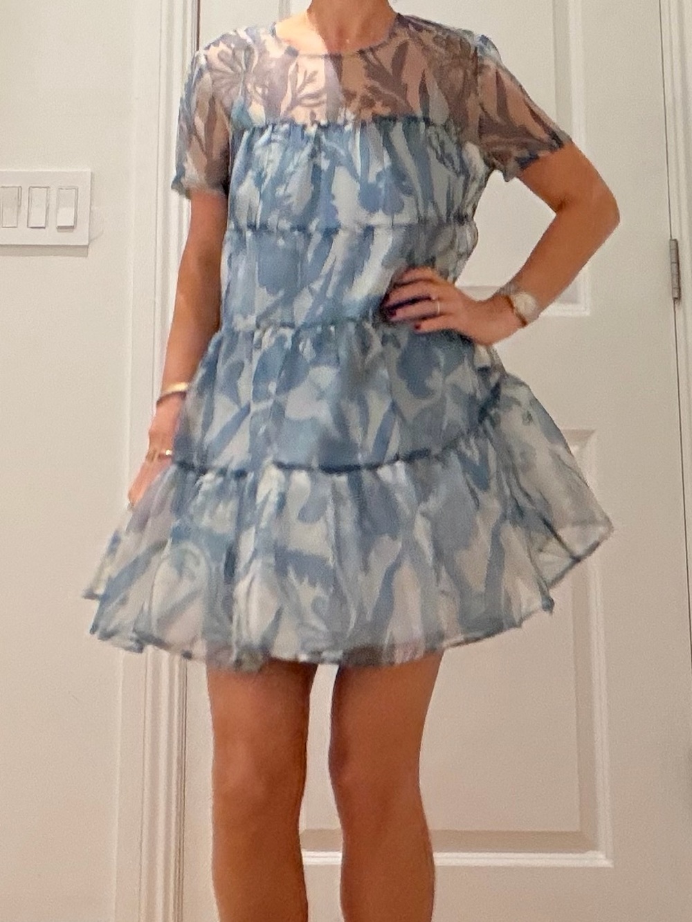 Blue sheer tulle dress